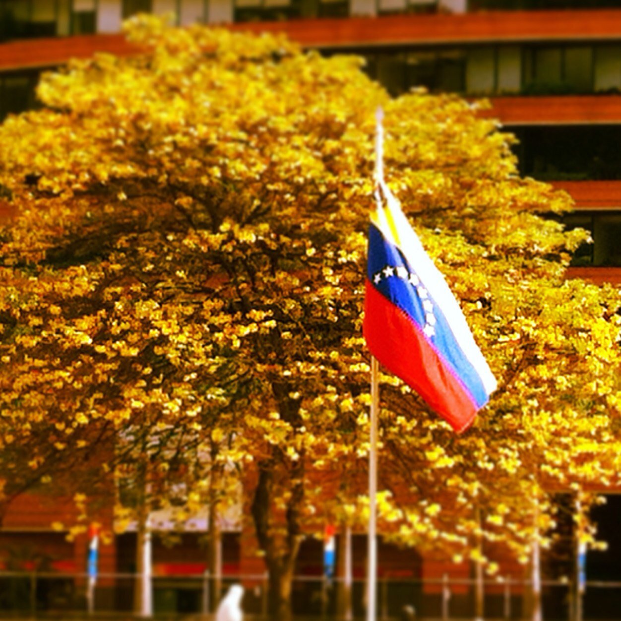 marietafuentes's profile picture. 