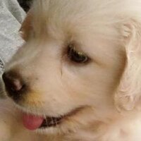 beta (@belta4) 's Twitter Profile