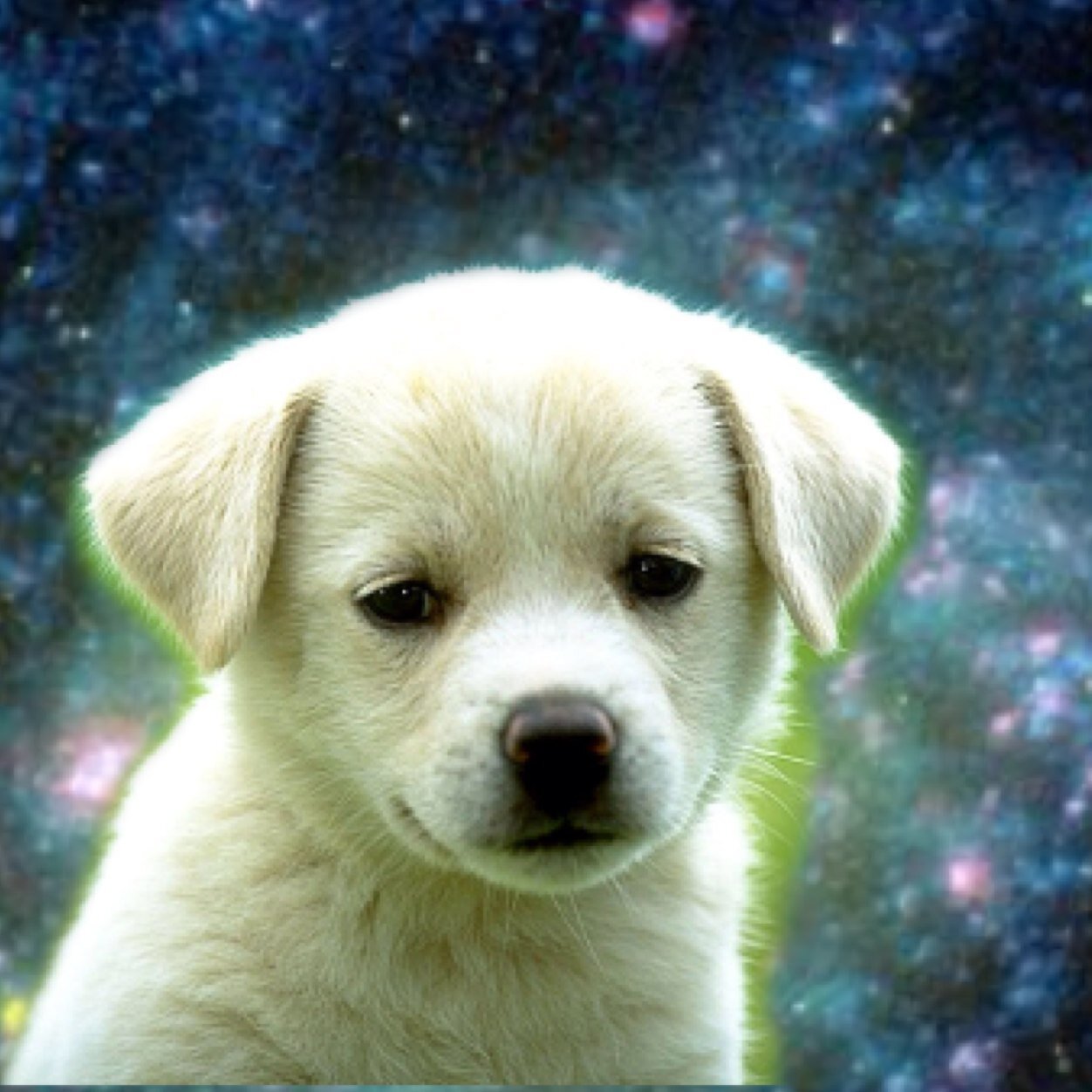 Inspired by @spacecatpics @itsspacecats