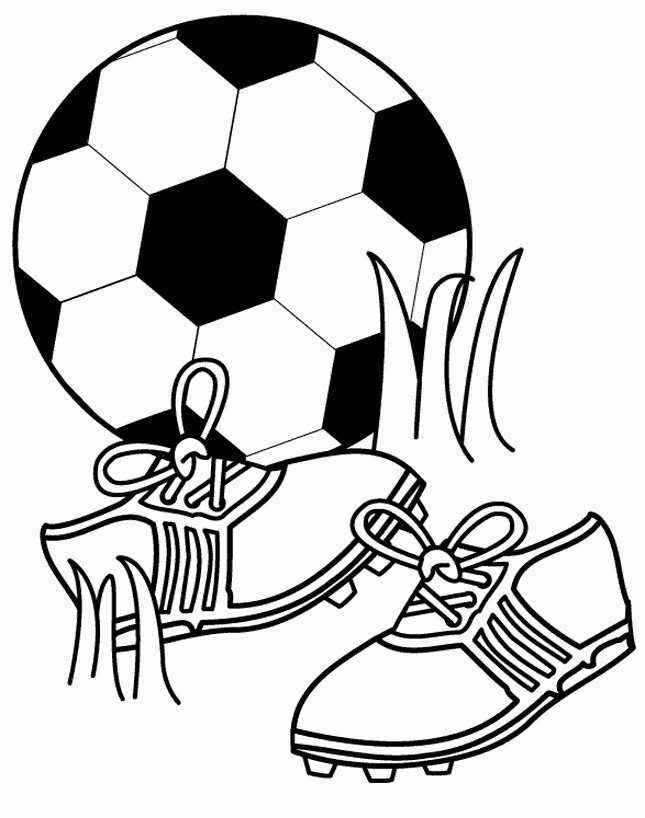 Sporla ilgili herşey.