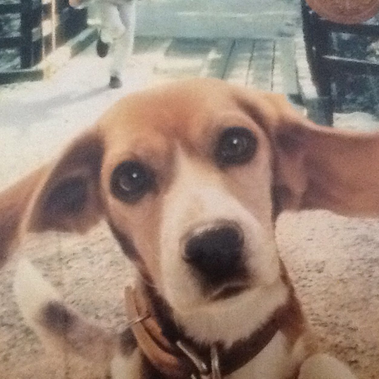 sebasti37153753's profile picture. 