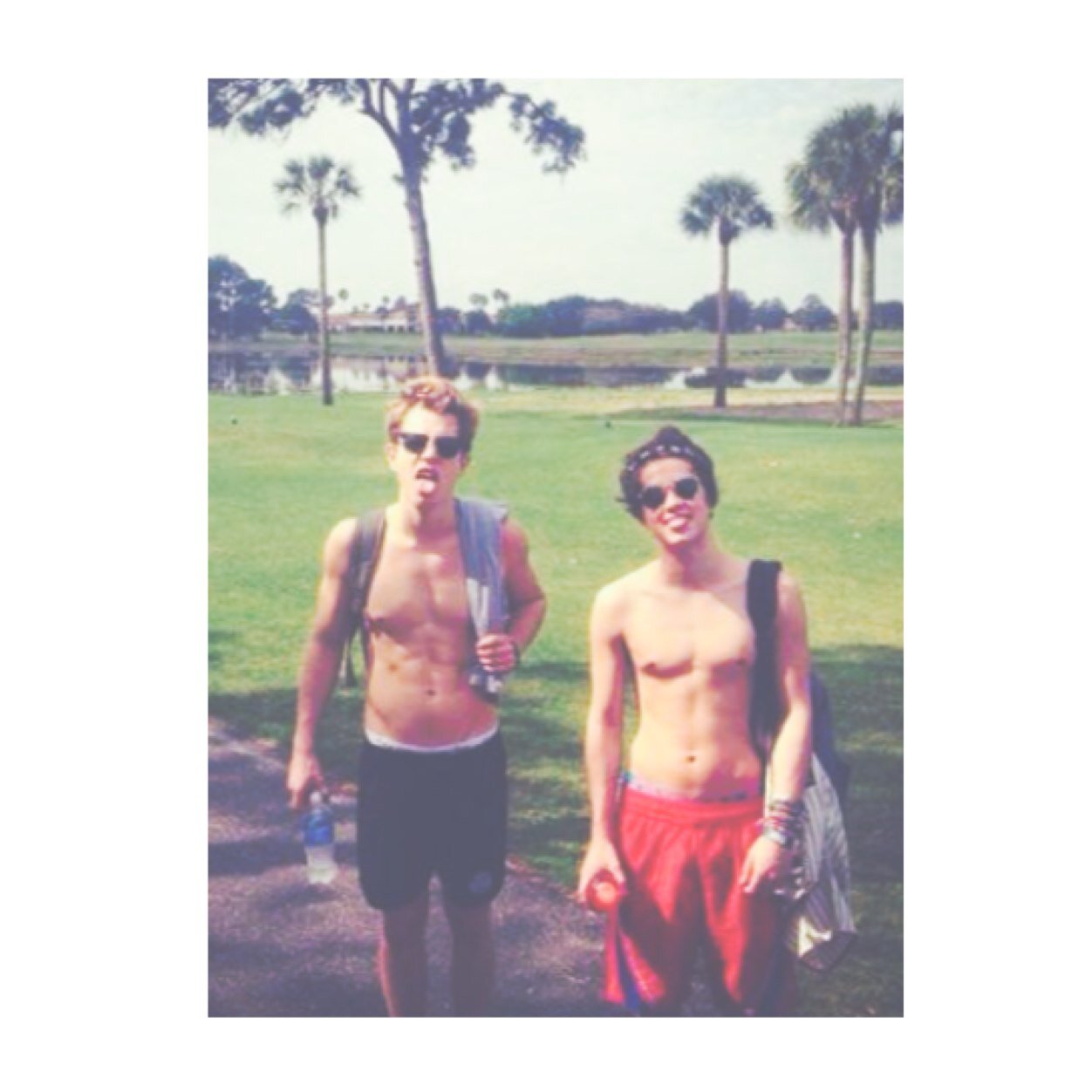 james daniel mcvey & harry edward styles