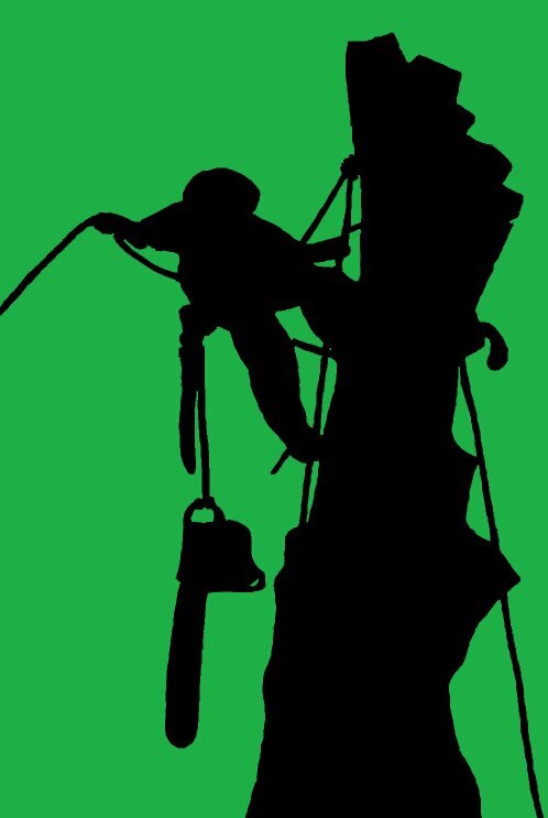 National Arborists website is a resource for finding local tree service companies along with helpful tree care information.
