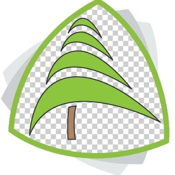 E-commerce company with a broad selection of images of various tree species with a transparent background.