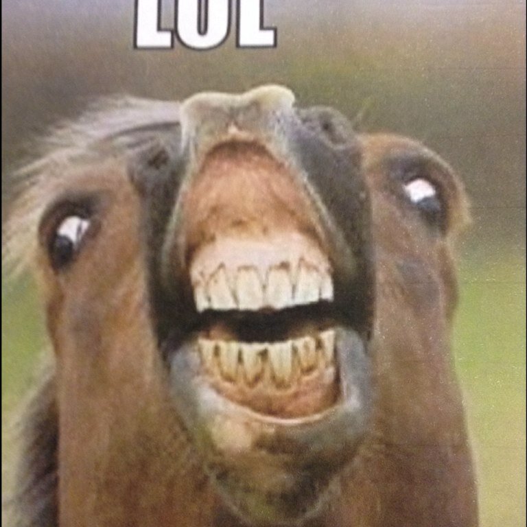 LewisLewjay1's profile picture. Keep calm and play minecraft