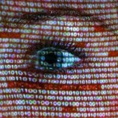 Corporate Investigator conducting compliant investigations for victims of fraud