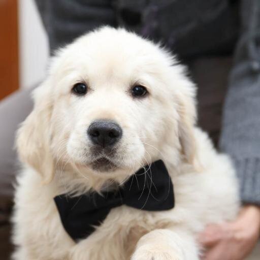 TITT1968's profile picture. 