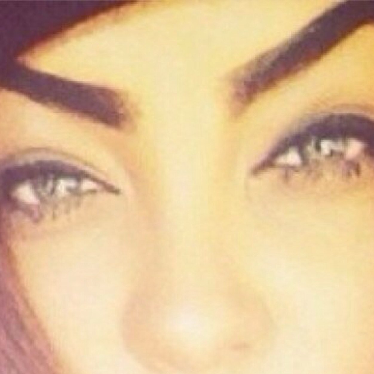 DominiquesBrows's profile picture. basically chilling above doms eyes