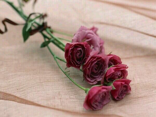 Kbreaa_sa's profile picture. 