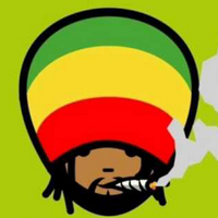 Vida Rasta ™ (@_vidarasta_) 's Twitter Profile