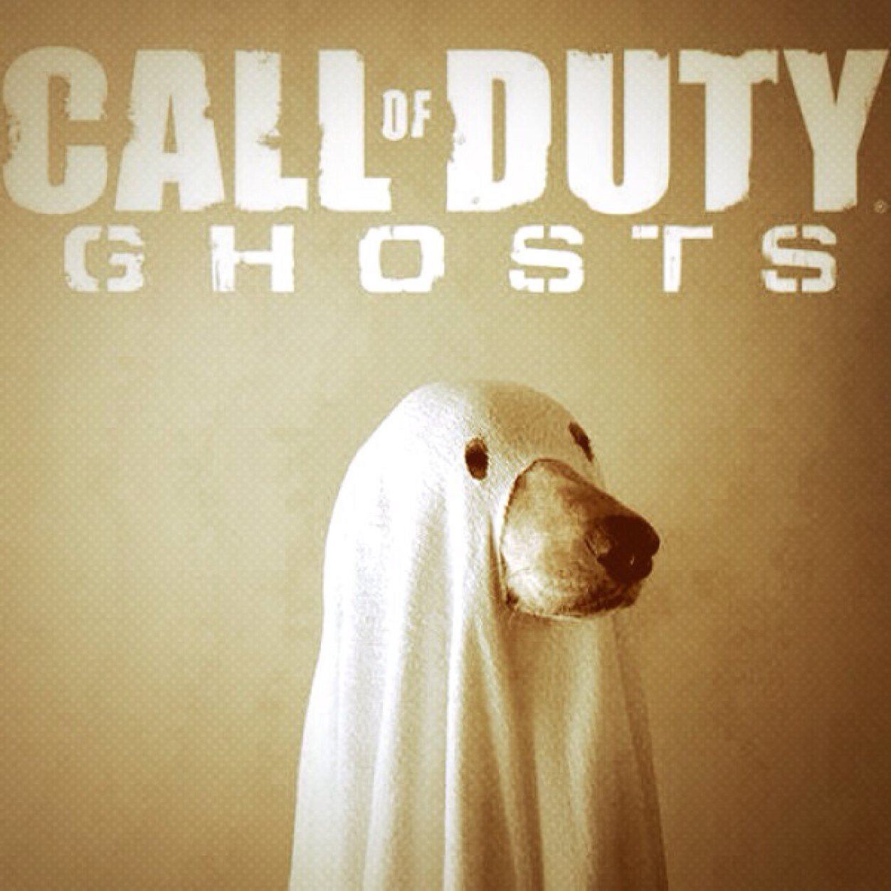 I like playing COD,Minecraft, and other first person games http://t.co/Lss3F4kTmg