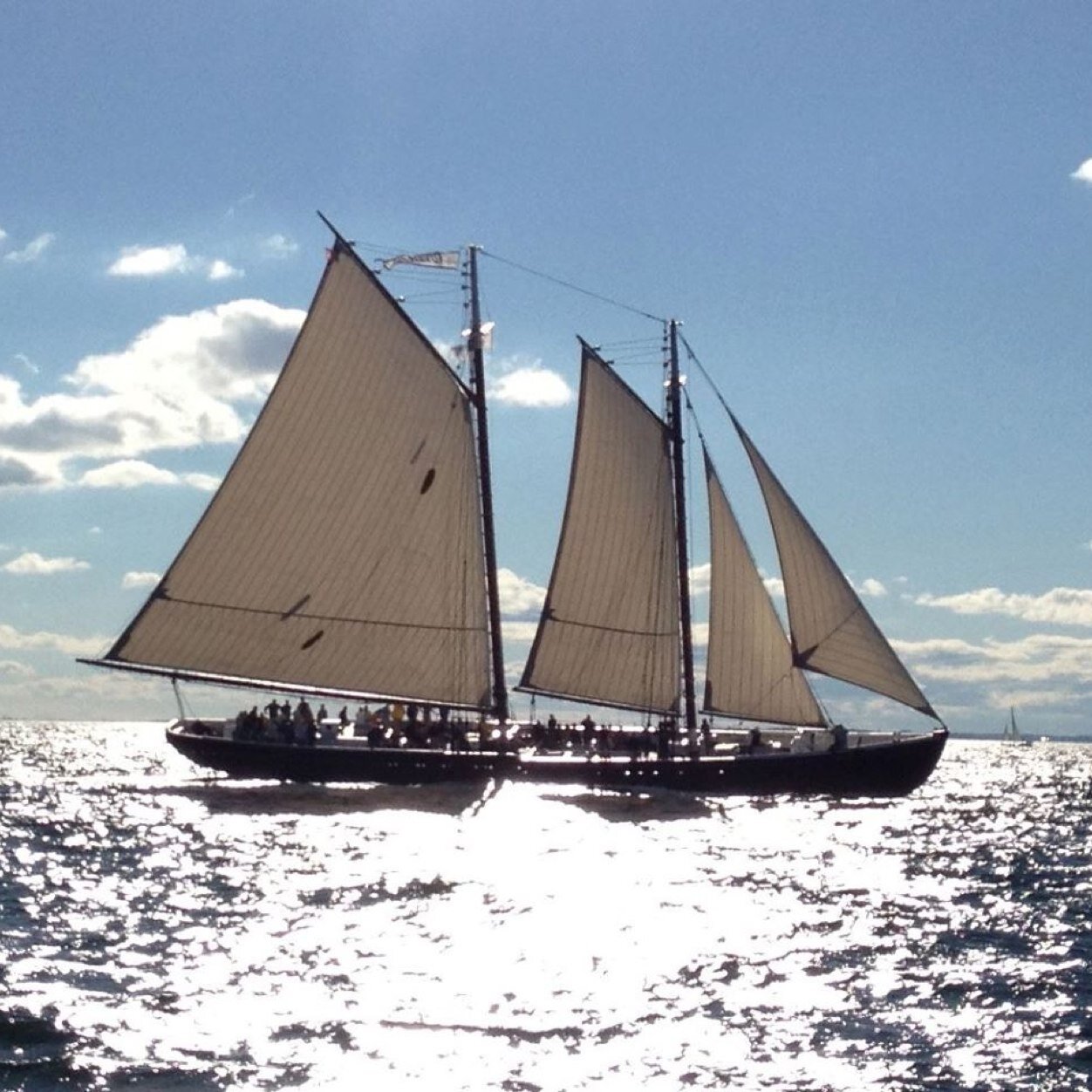 Set sail with us on a National Historic Landmark, the official flagship of #GloucesterMA There's a knockabout in Gloucester!