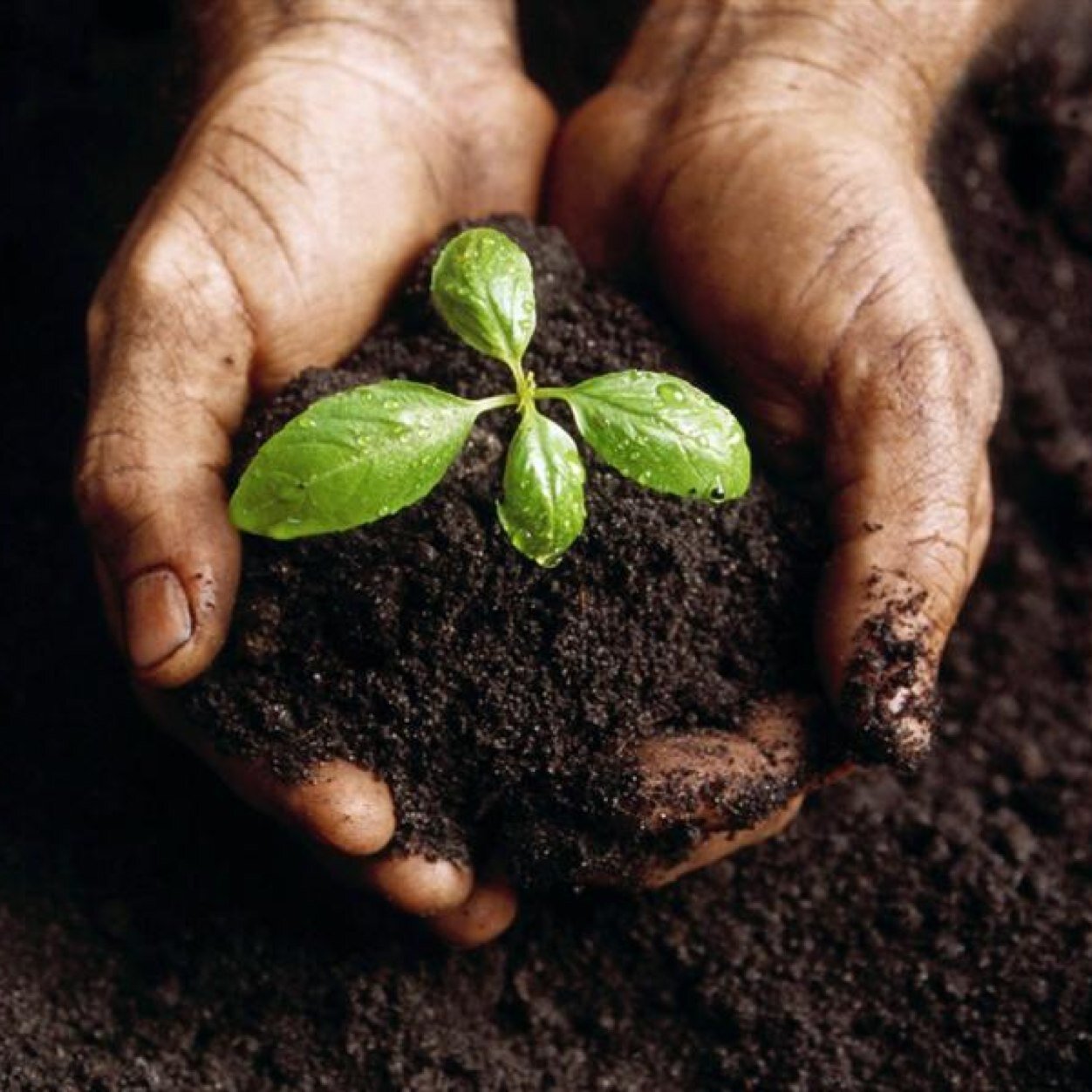 VAHS needs a compost. Mrs. Hammen and others are on board; we need help spreading the word!