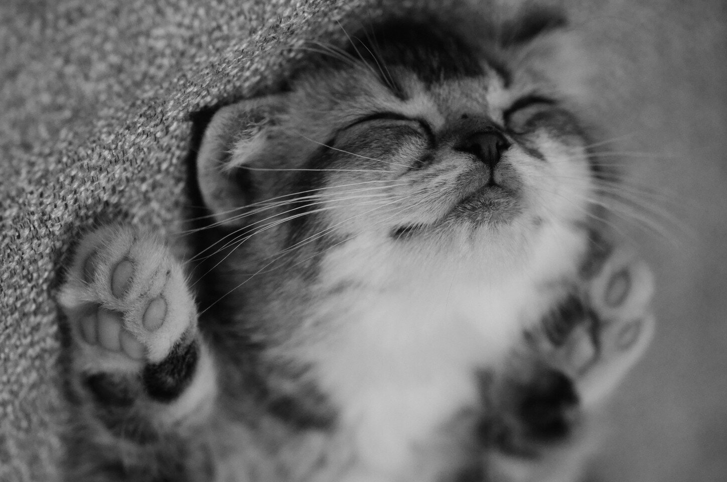 crazymofh's profile picture. I want to see your Smile :)