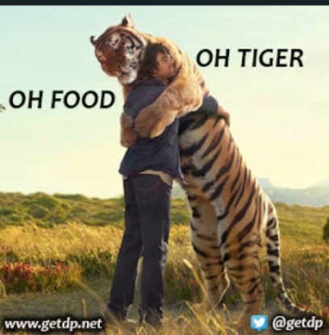 efeexe's profile picture. 