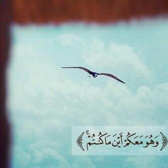 ‏‏‏‏‏‏‏‏‏‏‏‏‏مواليد 1416-1995..آسعى جاهدة لآحقق آهدافي وآطور ذاتي..أقرأ عشان آرتقي بنفسي..مافي آحلى من التفاؤل!♡ايوا أنا البنت الجامعيةوالدكتورة بإذن الله:$♥