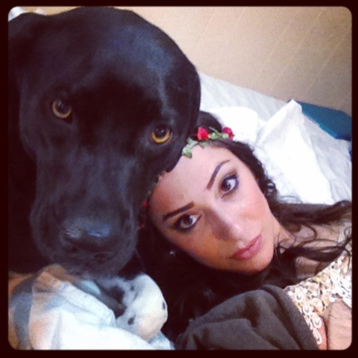 imacatdog's profile picture. 