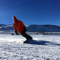 taylan kocer (@taylankocer) Twitter profile photo