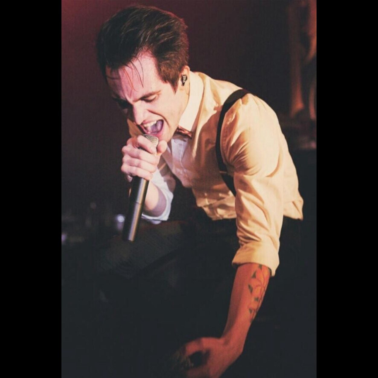Brendonope's profile picture. Fall Out Boy 20/03/14 & Panic! At The Disco 09/05/14
