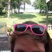 Kimberly Marie (@kmfalatko) Twitter profile photo Kimberly Marie (@kmfalatko) Twitter profile photo