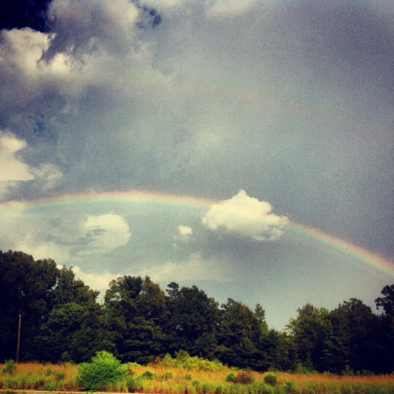 21yearsoflife's profile picture. Just a college student trying to find my place in the world.