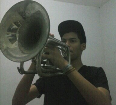 A música expressa o ritmo do meu coração .