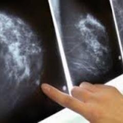 symovca's profile picture. The will to win, the desire to succeed, the urge to reach your full potential... these are the keys that will unlock the door to personal excellence.