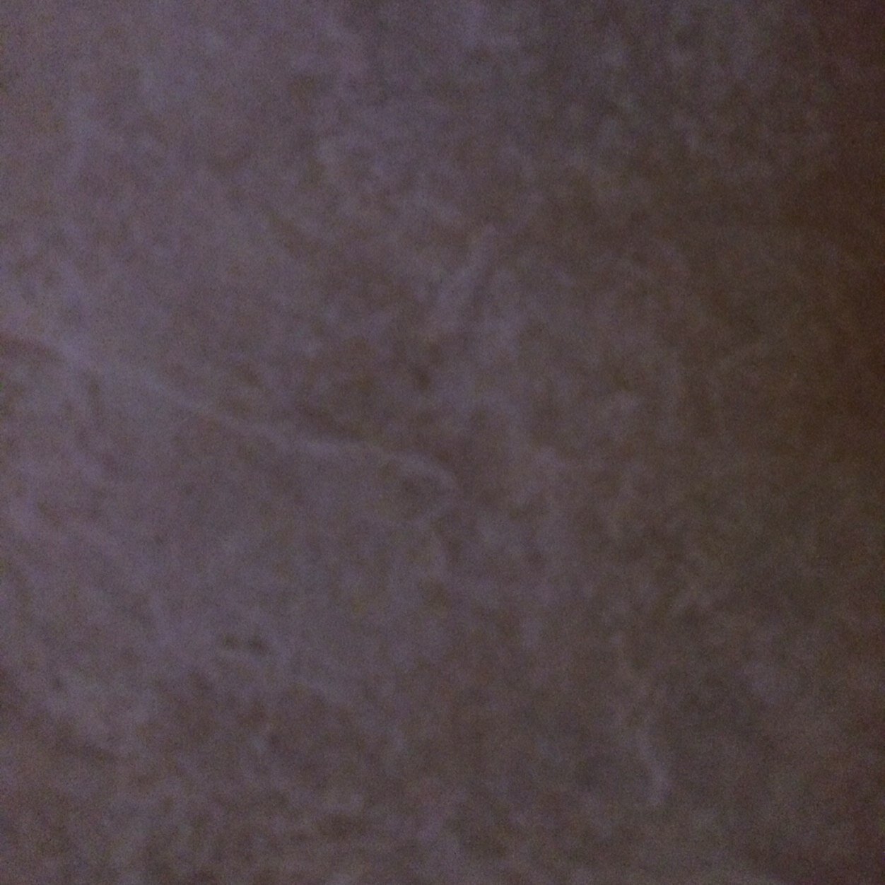 Tigersfankeri's profile picture. 