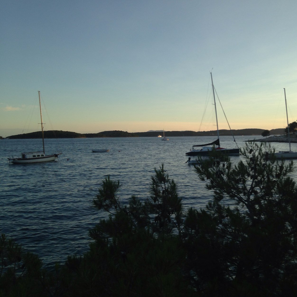 lex_thin's profile picture. .