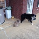 Don Land - @donland55 - Twitter