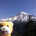 Mustard TheBear (@mustardthebear) Twitter profile photo