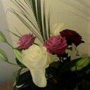 stacey beaton - @BeatonSb11 - Twitter