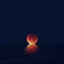 Patty Sylvester - @pattysylvester1 - Twitter