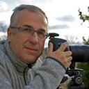 Jamie Morrison - @JamieNovaScotia - Twitter