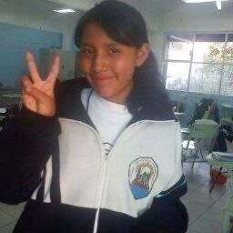 soy tepis