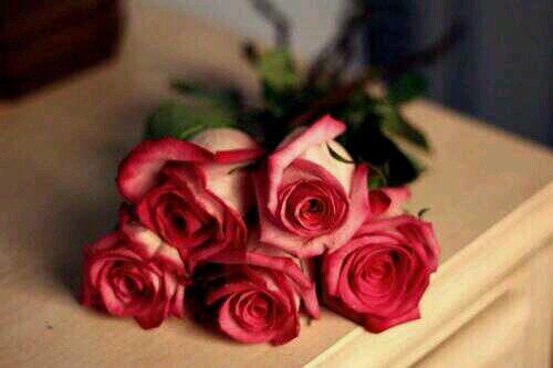لستُ سوىٰ روح ستُقبضْ في أي لحظه .. أسألُگ يا الله حسن الخَاتِمه .. ♡♡♪