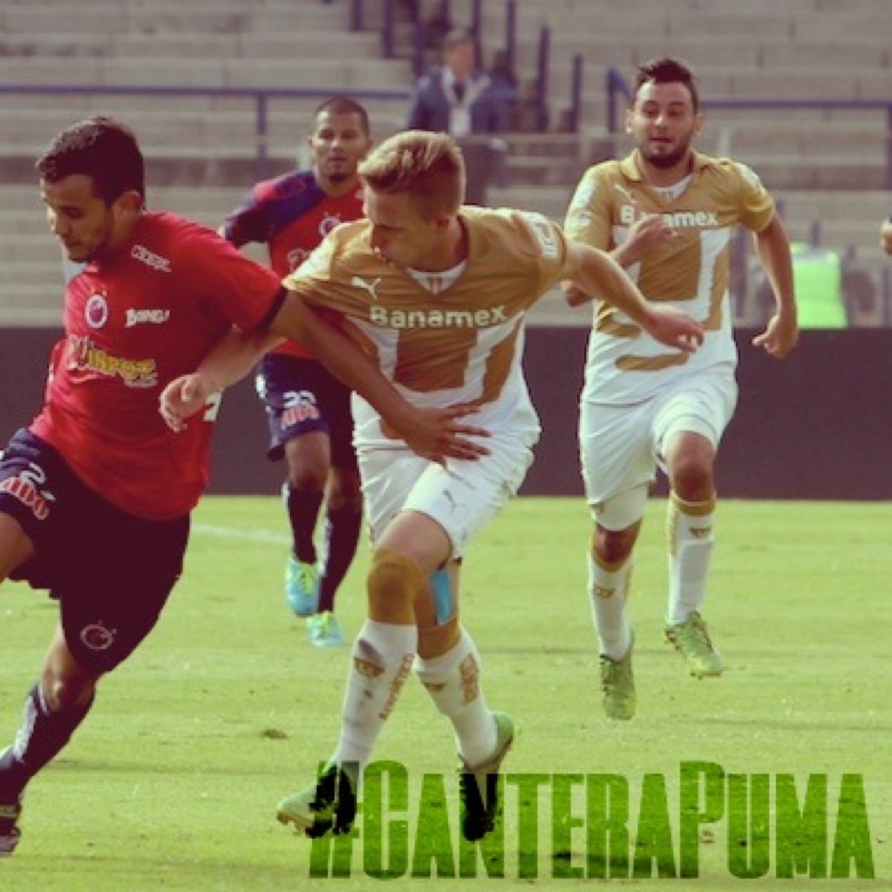 Cantera_Puma's profile picture. Información sobre las fuerzas básicas del Club Universidad Nacional. (Pumas de la UNAM)