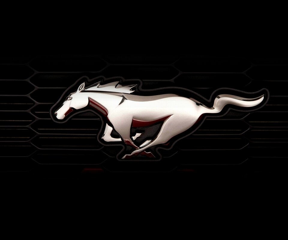 lisasm35's profile picture. 