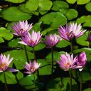 Mariah Dingman - @MDmonkeyface - Twitter