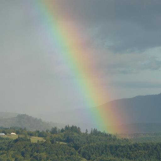 dejaybell's profile picture. i am me...