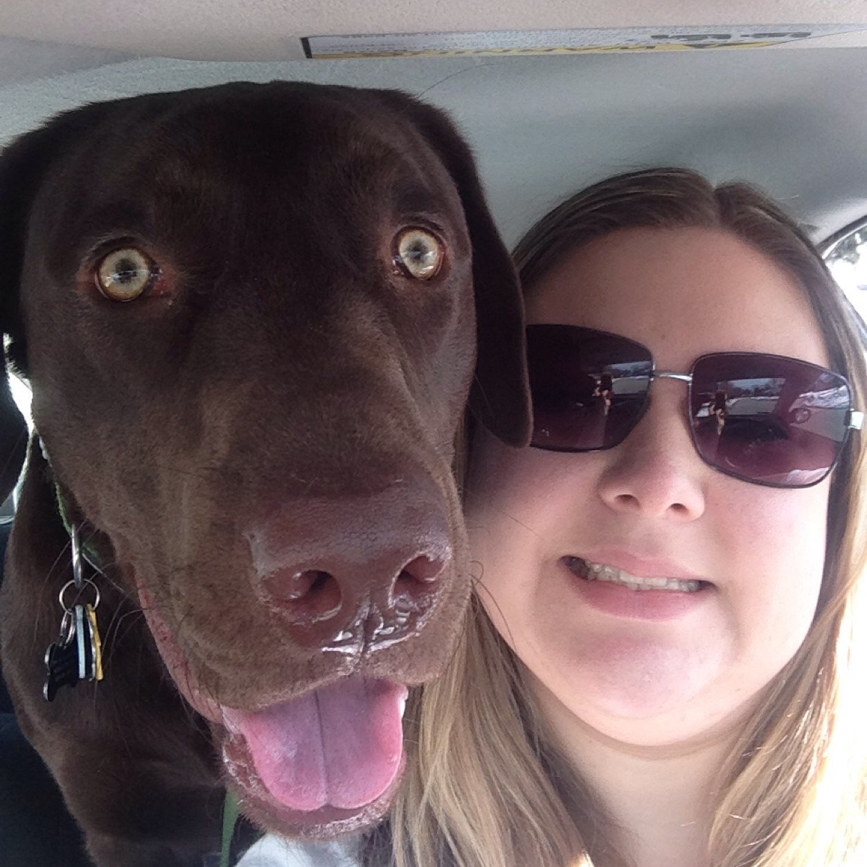 #Jersey Girl, #Dog lover, #Recruiter and #Kutztown Alumni! 
Recruiting top talent for @MaaS360 by #Fiberlink, an #IBM company, tweets are my own.