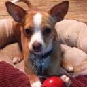 Melissa Devault - @missy102614 - Twitter