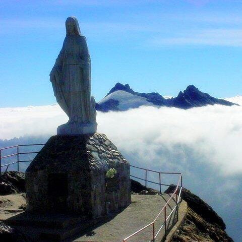 Controltotal's profile picture. Emprendedor /luchador. Merida