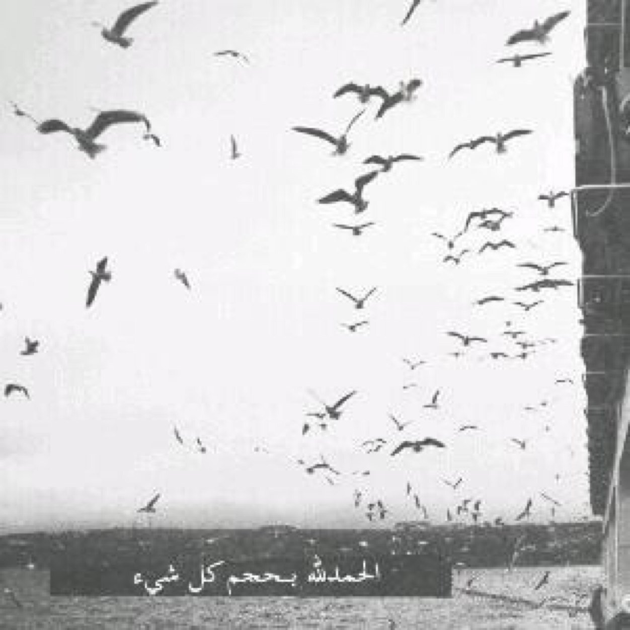 لأنني أحبكِ ولإنكِ كنتِ كل حيآتي ولأنني أريد لكِ الخير ولأنني لم أستطع إسعآدكِ في الدنيآ جعلت هذا الحساب صدقه جاريه لك جميلتي يسعدك يوم القيآمة بإذن اللهه ♡'