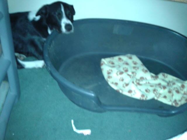 JoshWogden's profile picture. Love music and playing on xbox 360. Love my son to bits and cant wait for my 2nd child to be born.