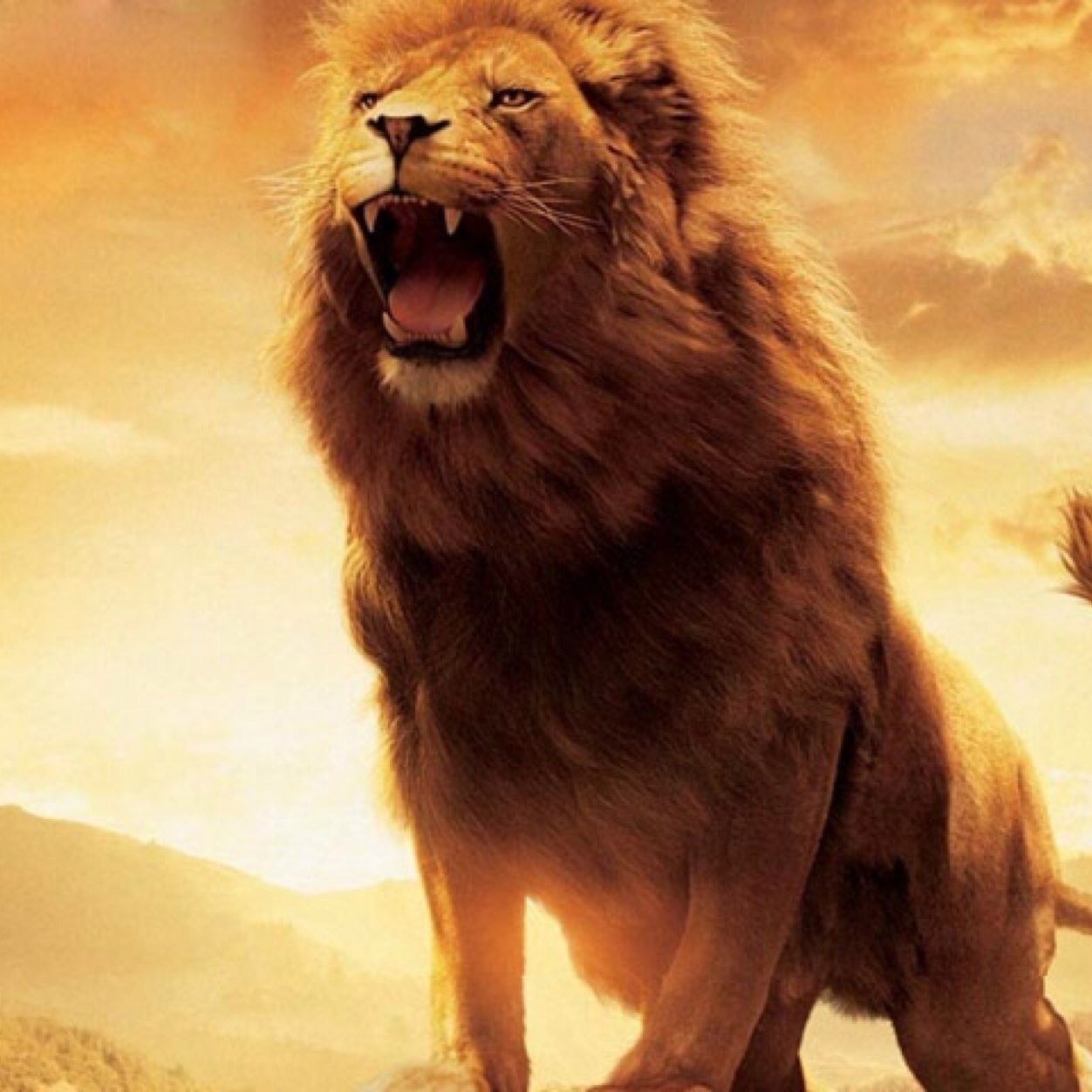 judithcera's profile picture. 