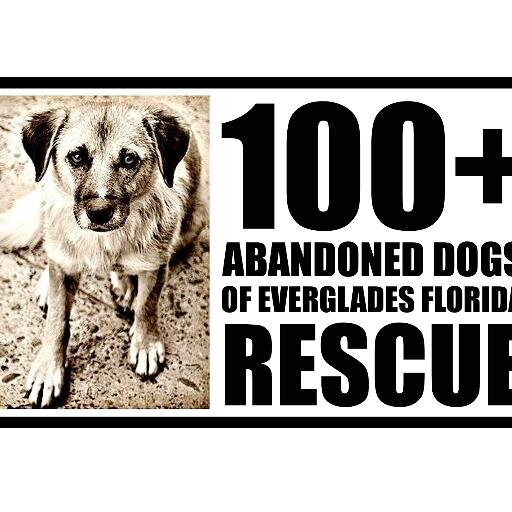 Rescue, Revive, Rehome.  501c3 No Kill Animal Rescue.
To adopt or get involved please call 
877 506 8100