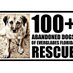 100+ Abandoned Dogs (@100plusrescue) Twitter profile photo