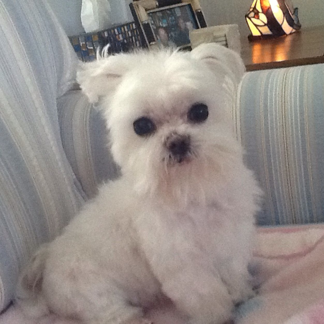 scottcampbell64's profile picture. 