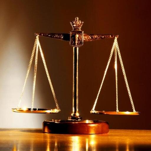 Criminal based TV Shows / Politics / Law 707.246.1141